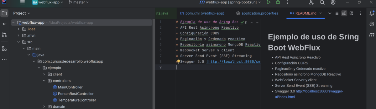 Fallo en los productos de Jetbrains en Ubuntu 24.04